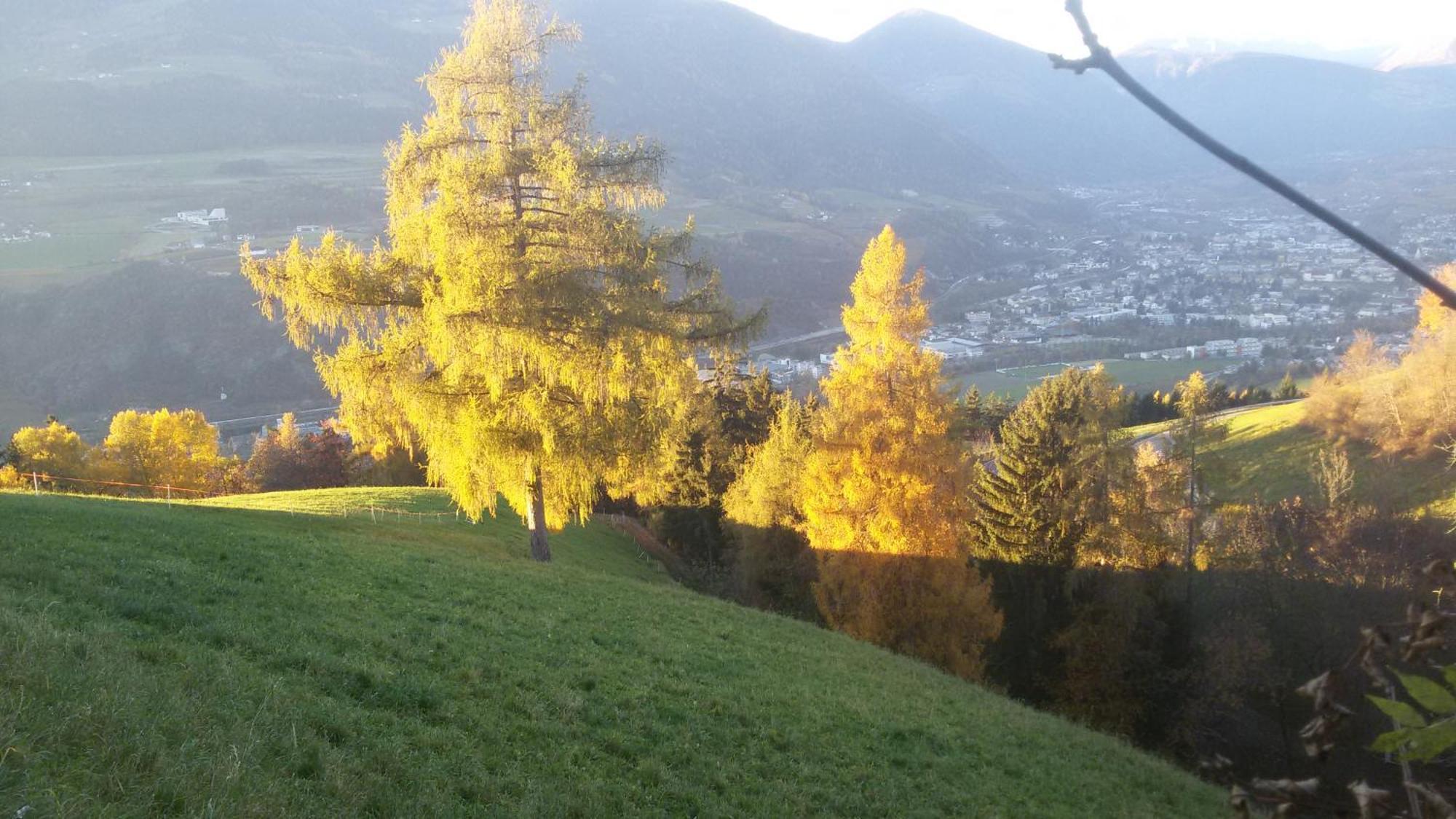 Residence Hofer Bressanone Esterno foto