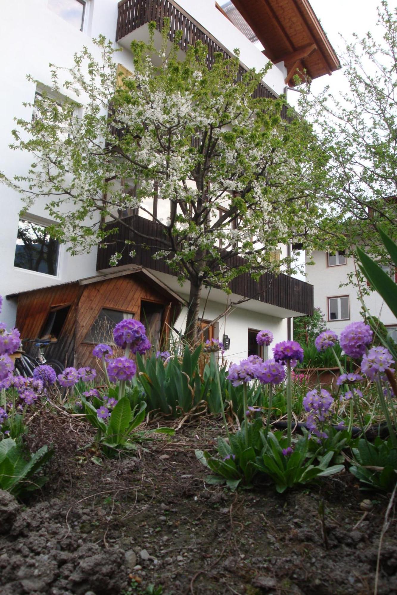 Residence Hofer Bressanone Esterno foto