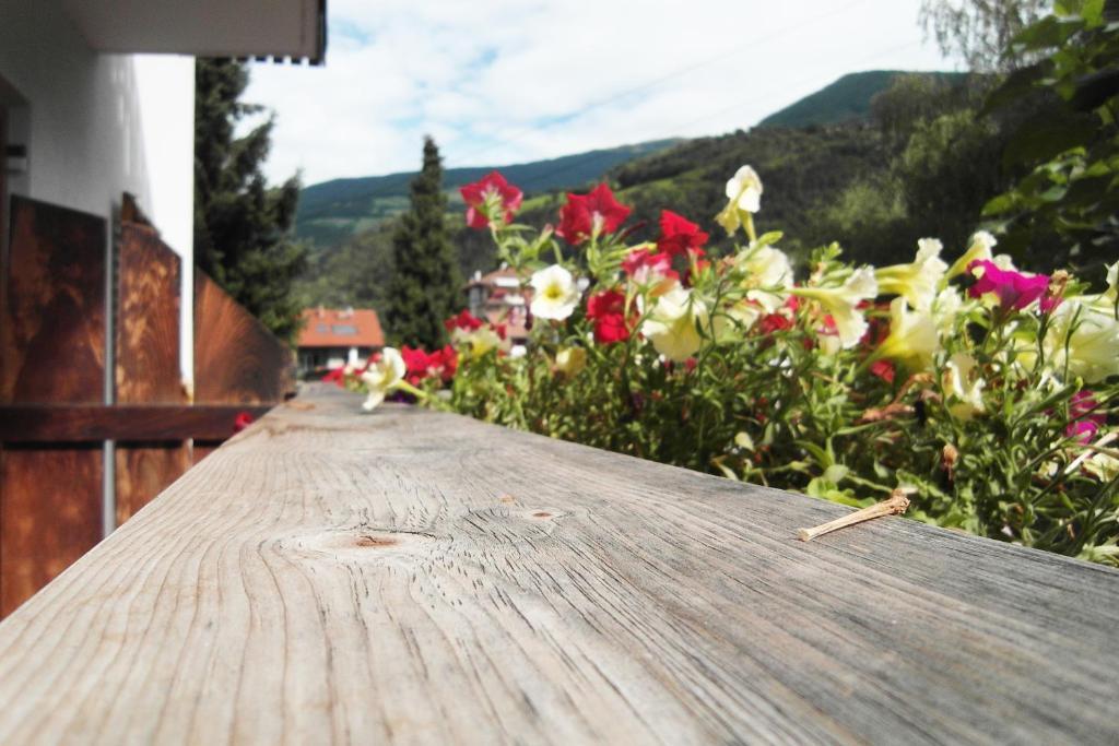 Residence Hofer Bressanone Esterno foto